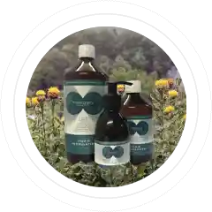 bottles of cleaning products outside in a meadow